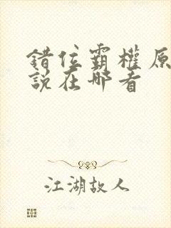 错位霸权原著小说在哪看