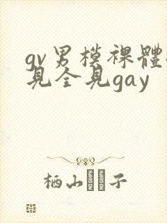 gv男模裸体全见全见gay封面