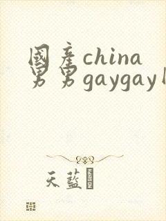 国产china男男gaygay网站