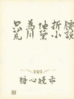 只为他折腰by荒川黛小说笔趣阁