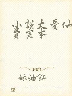 小说大爱仙尊免费完本