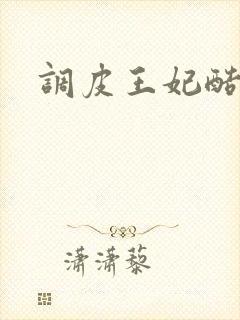 调皮王妃酷王爷