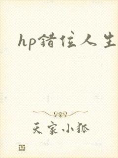 hp错位人生