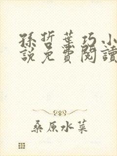 孙哲叶巧小妈小说免费阅读