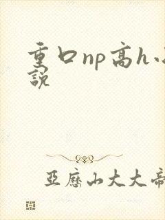 重口np高h小说封面