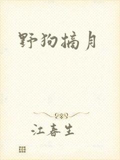 野狗摘月