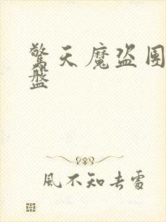 惊天魔盗团2网盘封面