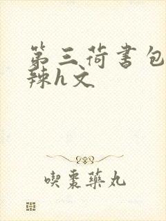 第三荷书包网高辣h文
