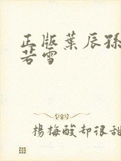 正版叶辰孙怡夏若雪