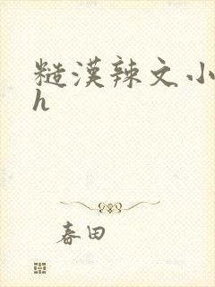 糙汉辣文小说纯h