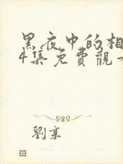 黑夜中的相拥24集免费观看