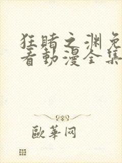 狂赌之渊免费观看动漫全集高清封面