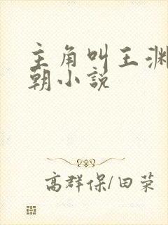 主角叫王渊的明朝小说