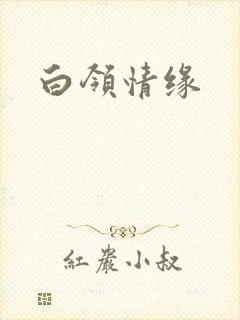 白领情缘