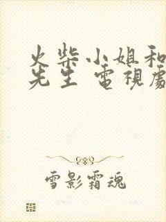 火柴小姐和美味先生 电视剧免费全集