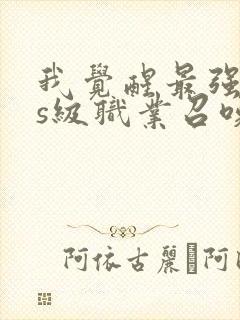 我觉醒最强sss级职业召唤一口气看完