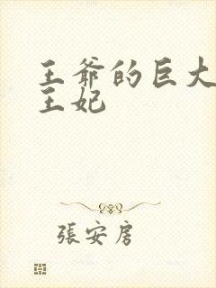 王爷的巨大进入王妃