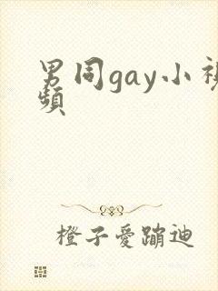 男同gay小视频封面