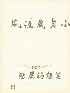 风流岁月小说封面