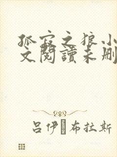 孤寂之狼小说全文阅读未删减版