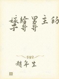 嫁给男主的病秧子哥哥封面