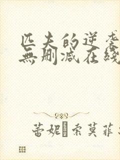 匹夫的逆袭小说无删减在线阅读