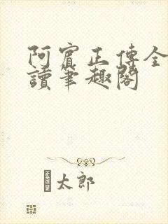 阿宾正传全文阅读笔趣阁封面