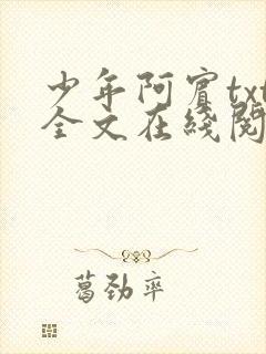 少年阿宾txt全文在线阅读