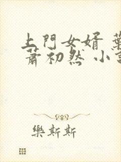 上门女婿 叶辰 萧初然 小说