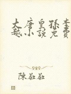 大唐皇孙李象穿越小说免费阅读全文