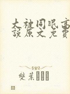 大被同眠高粱小说原文免费阅读