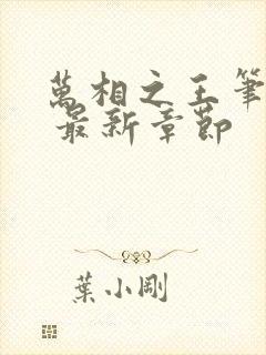 万相之王笔趣阁 最新章节