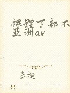 裸体下部不遮挡亚洲av