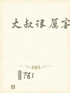 大叔很厉害封面