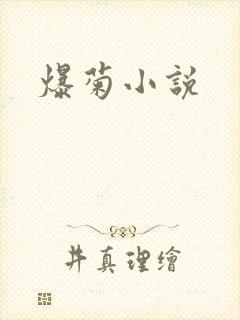 爆菊小说