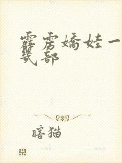 霹雳娇娃一共有几部