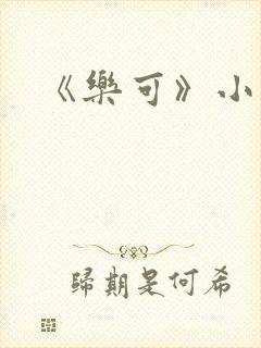 《乐可》小说封面