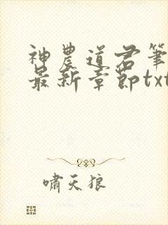 神农道君笔趣阁最新章节txt