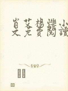 肖艾杨烁小说全文免费阅读笔趣阁