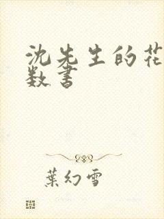 沈先生的花式调数书