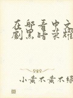 在哪看中文版韩剧黑暗荣耀第二季