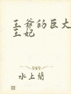 王爷的巨大进入王妃封面