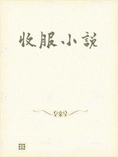 收服小说