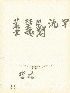 叶楚风沈星岚2笔趣阁