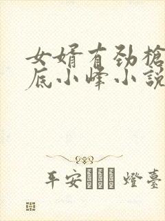 女婿有劲枪枪到底小峰小说