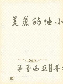 美丽的他小说