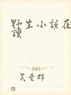 野生小说在线阅读