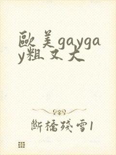 欧美gaygay粗又大封面