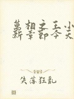 万相之王小说最新章节今天