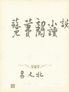 苏若初小说全文免费阅读封面